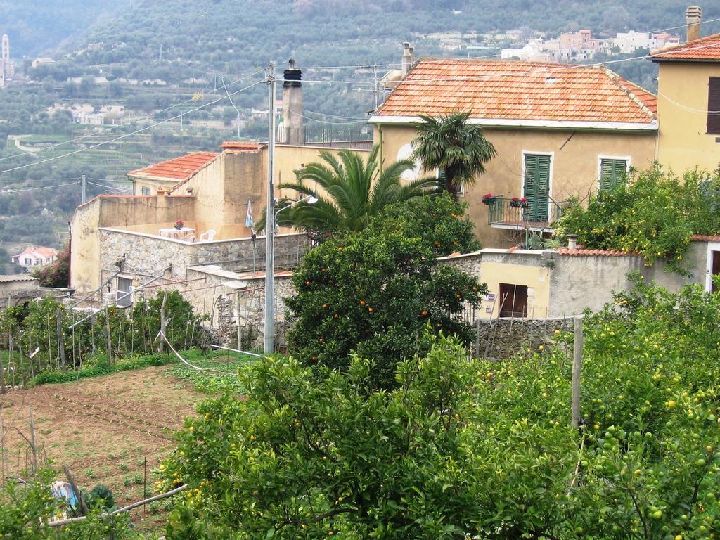 Agriturismo Barilaro Finale Ligure Dış mekan fotoğraf