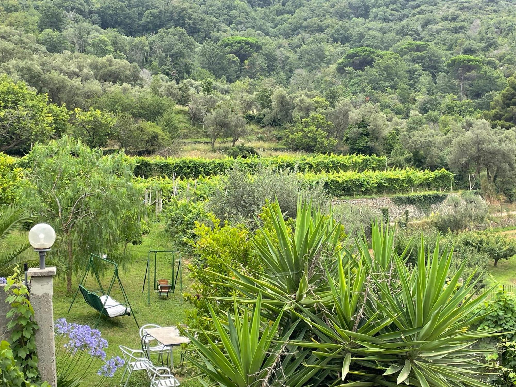 Agriturismo Barilaro Finale Ligure Dış mekan fotoğraf