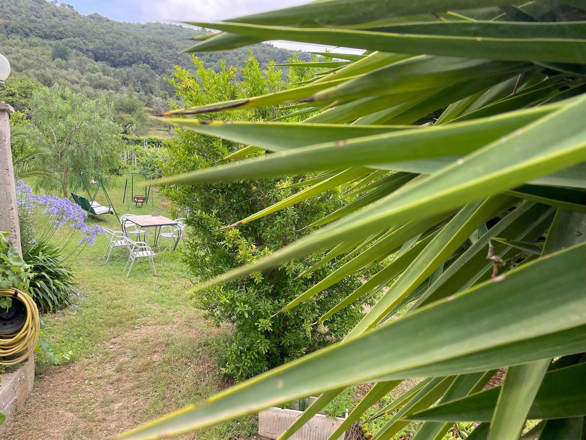 Agriturismo Barilaro Finale Ligure Dış mekan fotoğraf